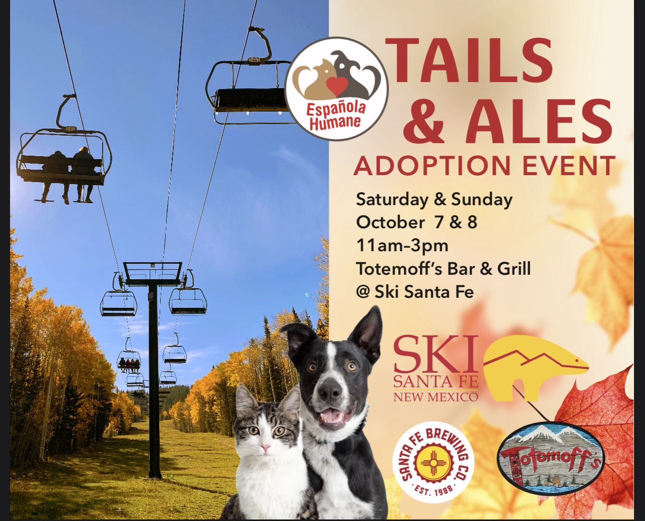 Pet Adoptions at Ski Santa Fe Espanola Humane