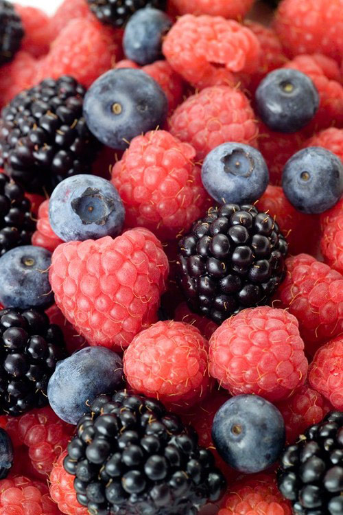 Berry Good Advice for Gardeners Espoma