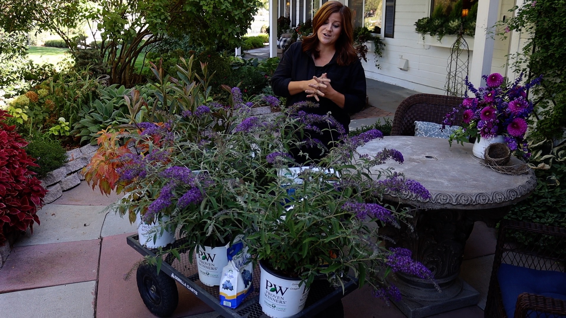 Video Shrub Haul & Planting with Garden Answer Espoma