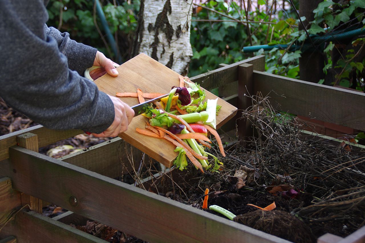 Learn More About Creating Useful Compost