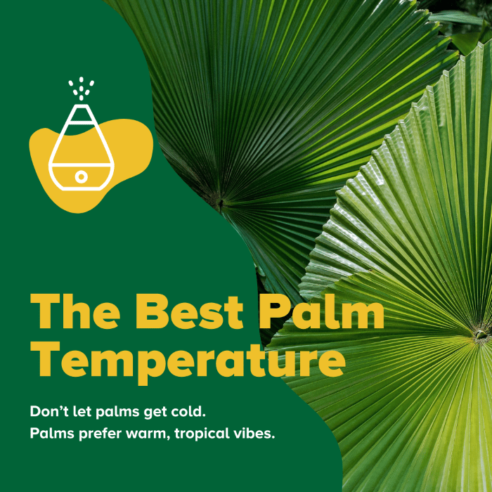 BAGR 125 Blog Palm Care 101 Espoma