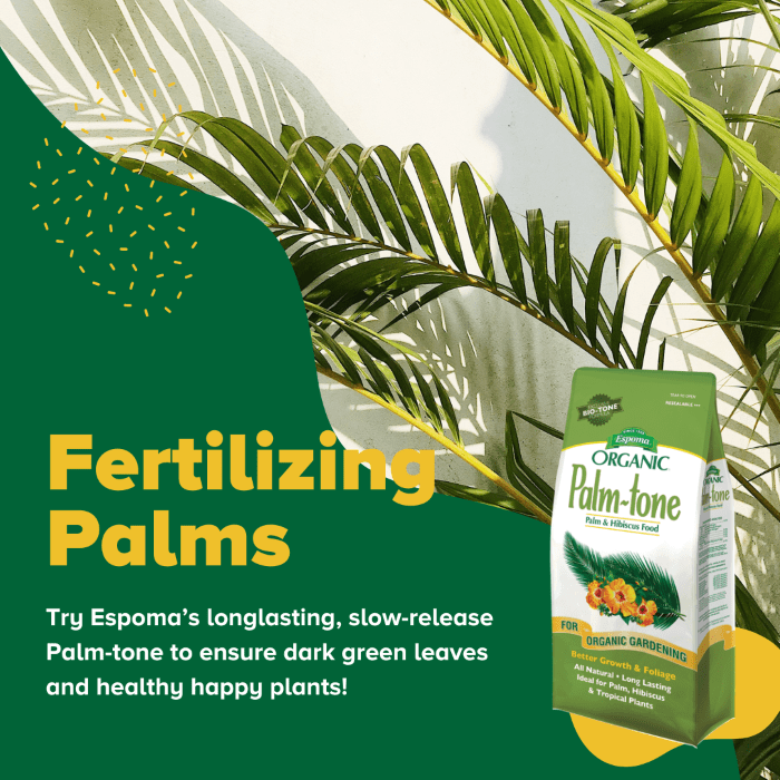 BAGR 125 Blog Palm Care 101 Espoma