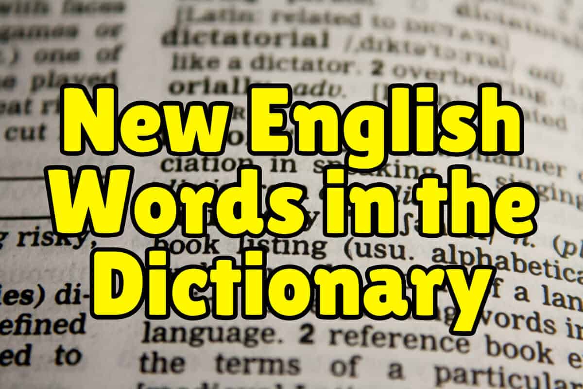 New English Words Added to the Dictionary in 2013 Espresso English
