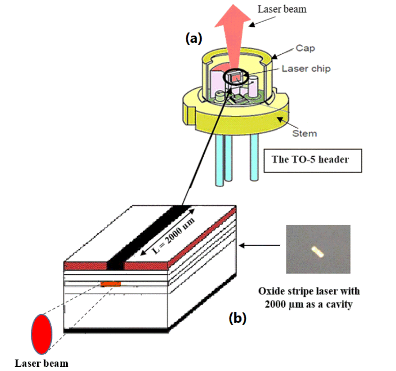 Fig. 2 Schematicdiagram of (a) InP/AlGaInP QD laser diode device (b