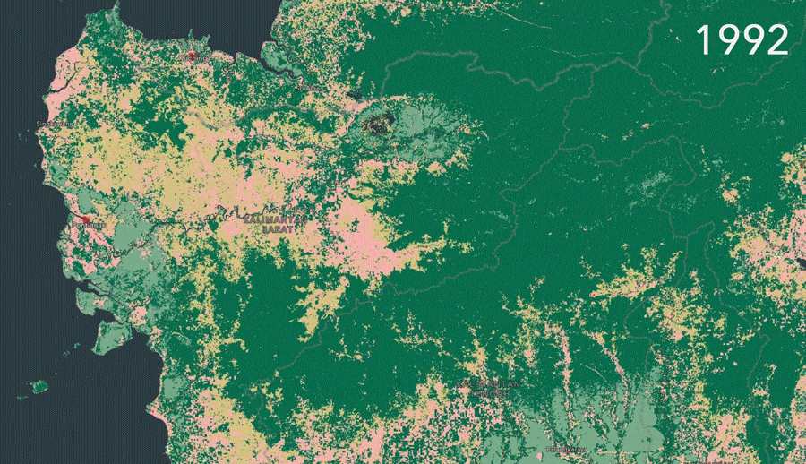Look into the Future Global Land Cover for the Year 2050