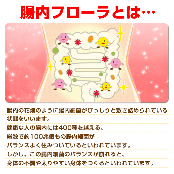 たけしのみんなの家庭の医学] 腸内フローラ改善便移植 1月12日／手順 ドナーの条件 | 七転八起 痩せない…その原因は「腸」！？腸内フローラ特集｜エッセンシア酵素ドリンクメールマガジン 2017.7.14