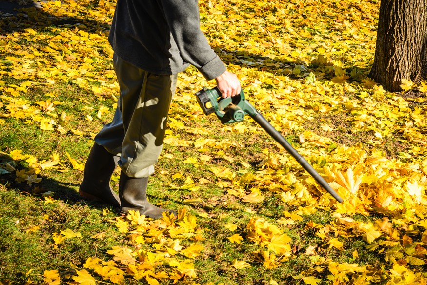 The Best Cordless Leaf Blower Our Top 8 Picks Essential Home and Garden