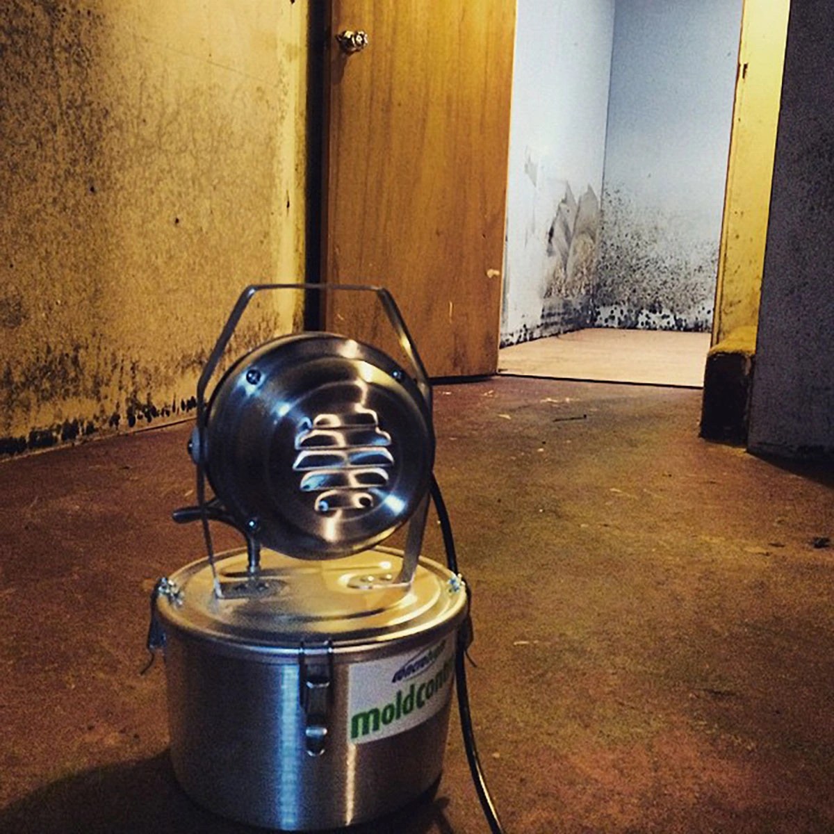 The 5 Best Mold Foggers Of 2023 Mold Removal Made Easy Essential Home And Garden