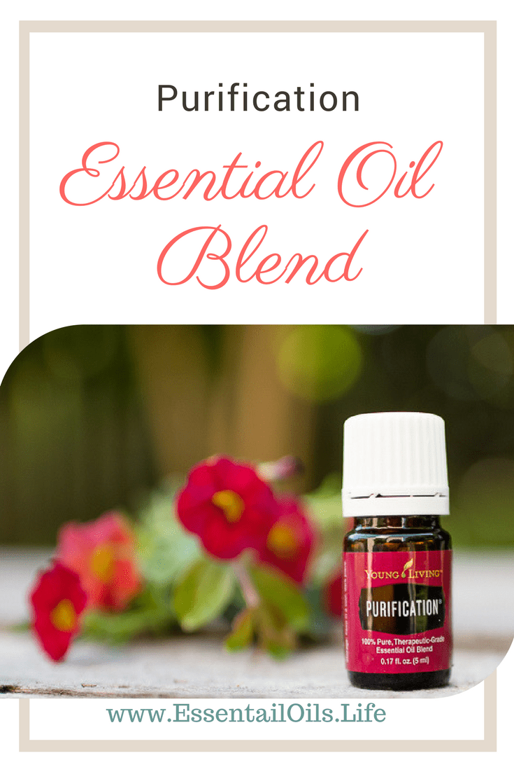 12 Uses for Purification Essential Oil Blend & FAQ