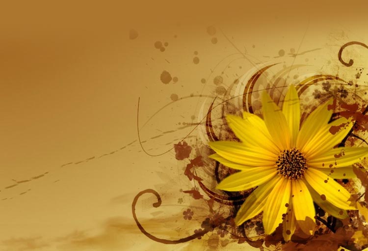 Flowers email stationery (stationary) Yellow Flower And Brown Swirls