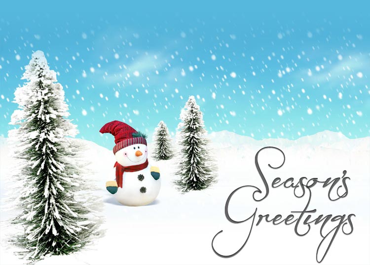 Seasons Greetings Email Template
