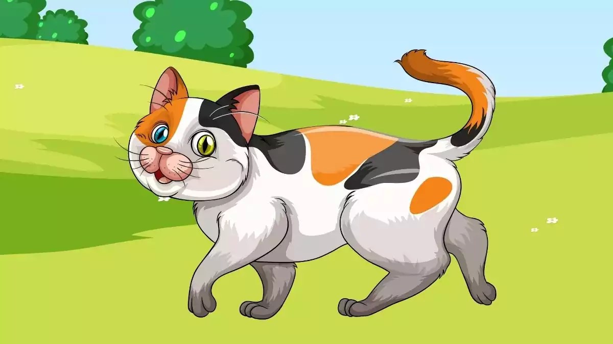 When Did Cats Pets? Storybook