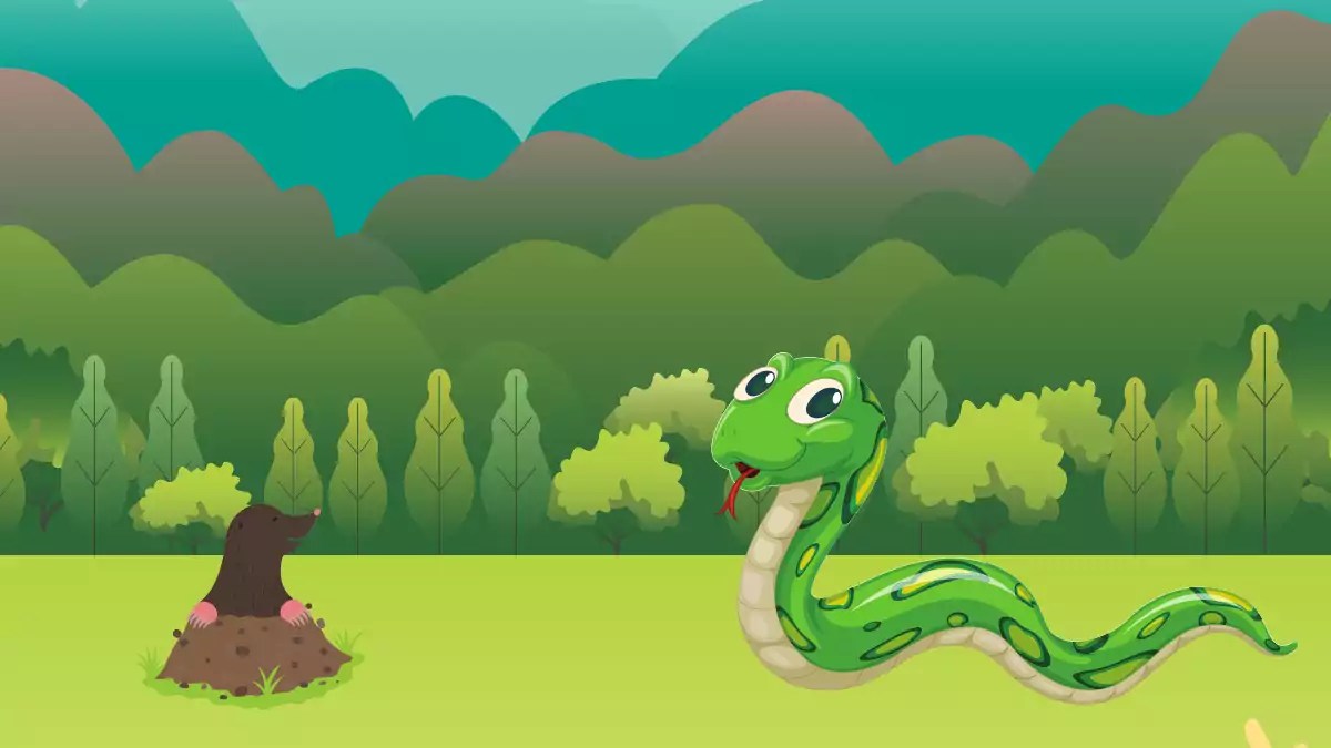 The Snake and The Mouse Story Storybook