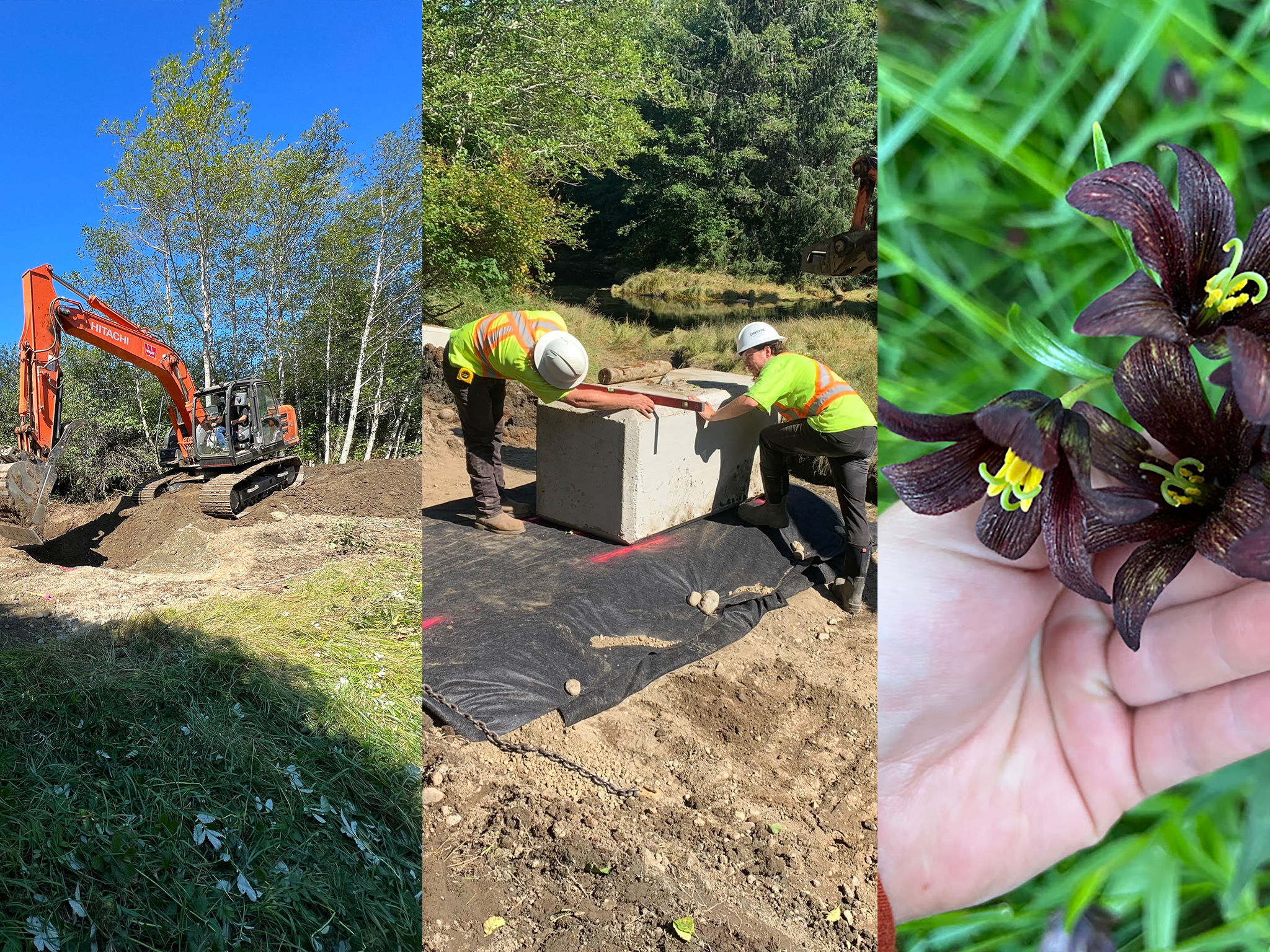 Restoring the Salmon River Estuary The Nature Trust of British Columbia