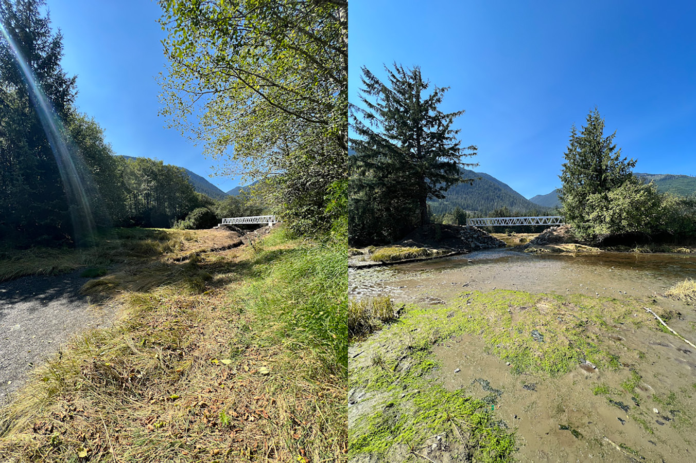Restoring the Salmon River Estuary The Nature Trust of British Columbia