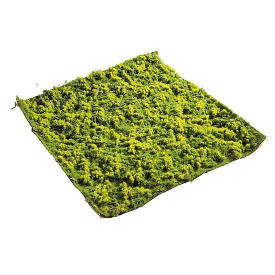 Moss grass mat Etalage Decoratie