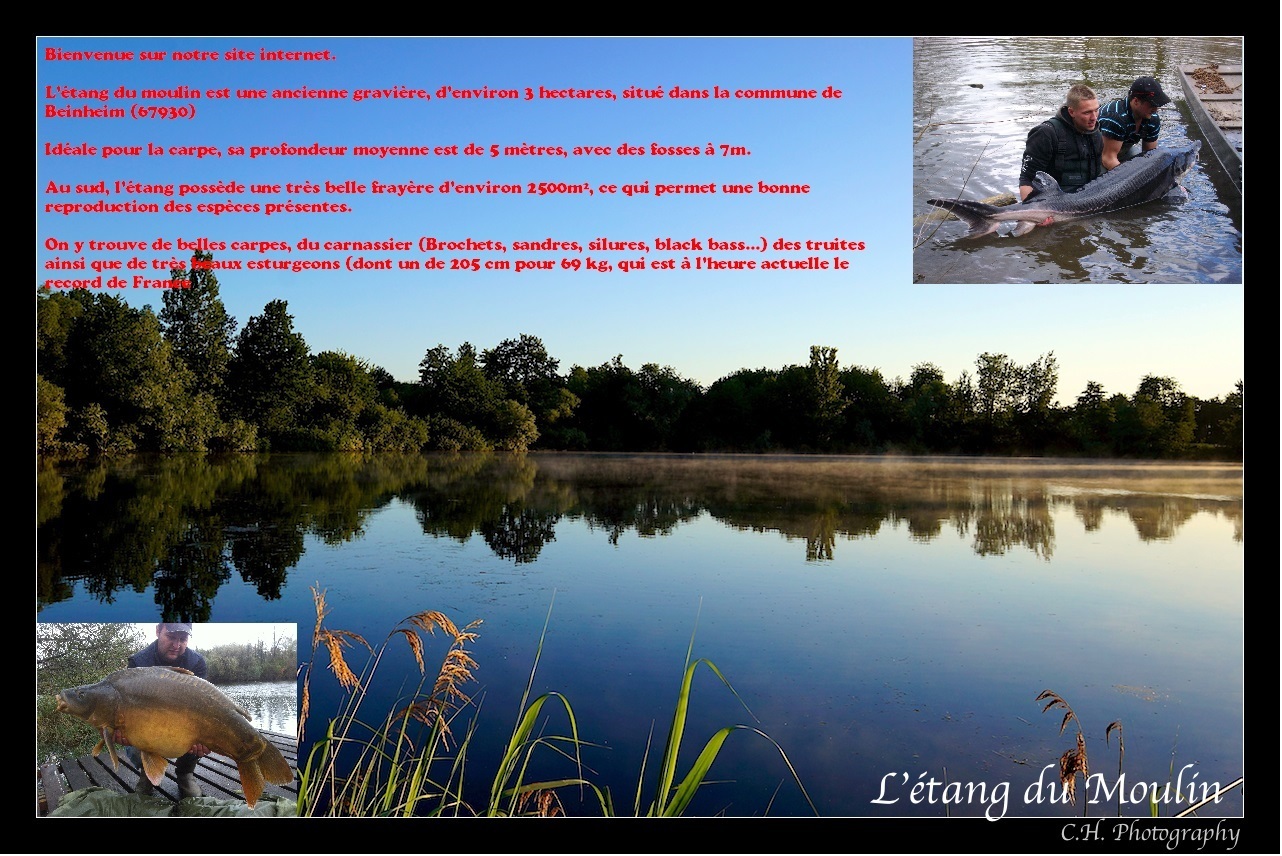 Etang du Moulin Fait par des pêcheurs pour les pêcheurs