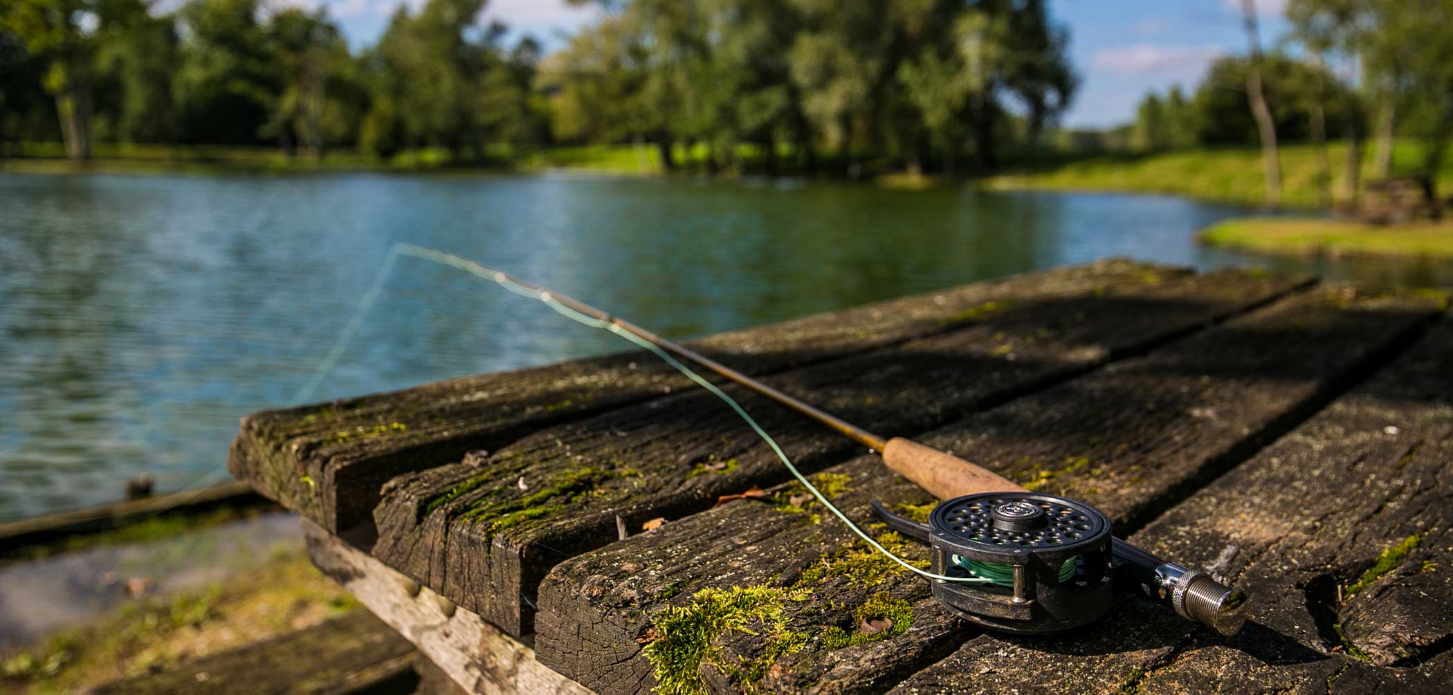 Les Etangs de la Palombière Réceptions, séminaires et pêche à la truite.