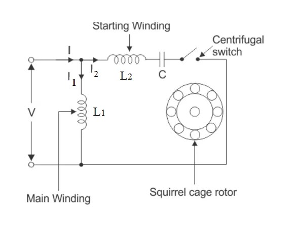 Single phase Induction motor: Construction, Working & Starting methods