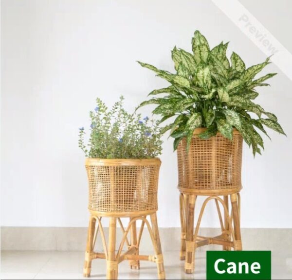 Cane Planter with Stand (CPS101,CPS102,CPS103 and CPS104), EC 076 to
