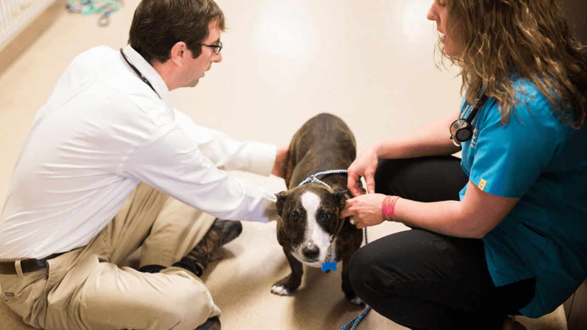 Reimagining Board Certification How Ethos is Shaping a New Era in