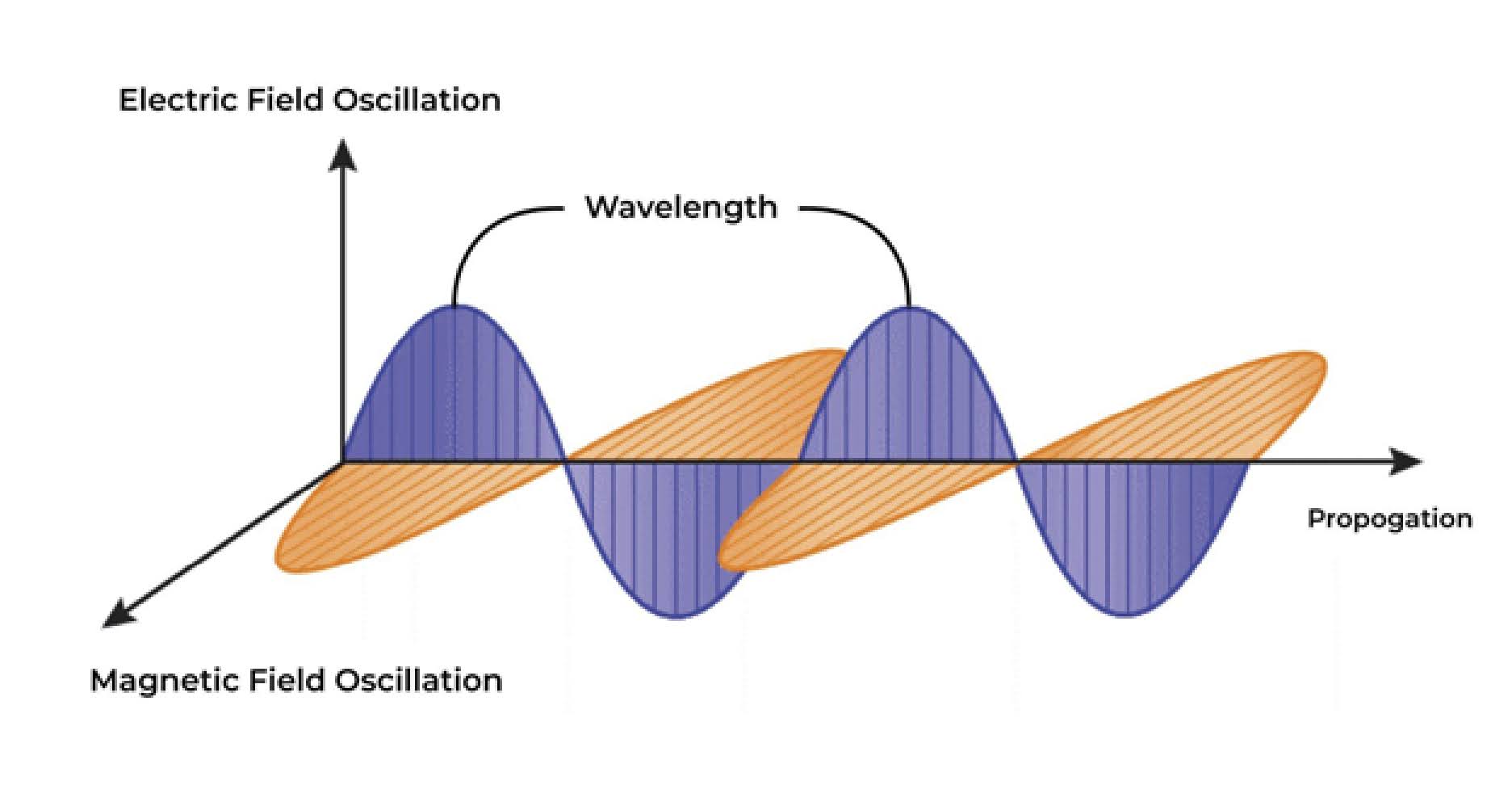 Mechanical Waves: Definition, Types, Examples & FAQs