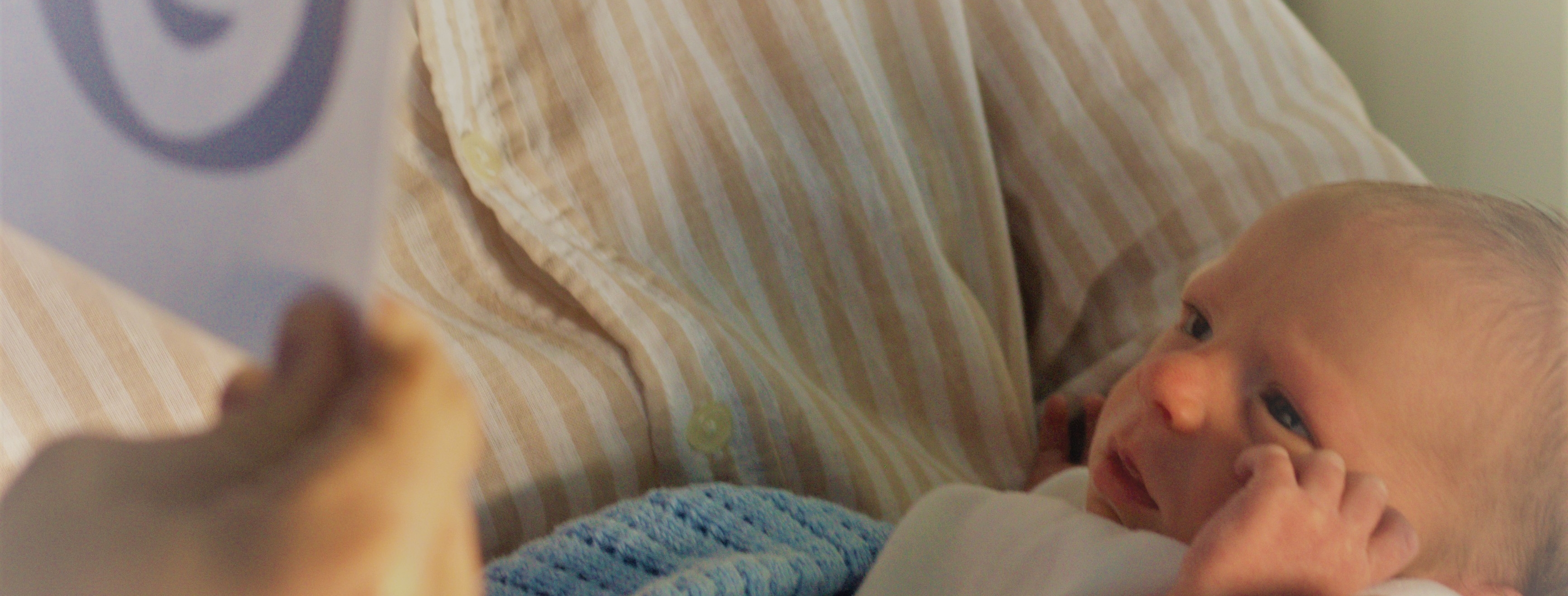 Looking for Vision Why talk about newborn vision? EUBRAIN