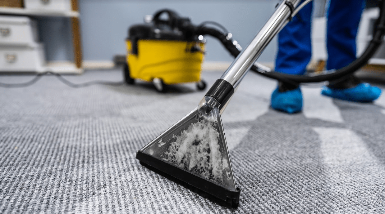Why do you need carpet cleaning services?
