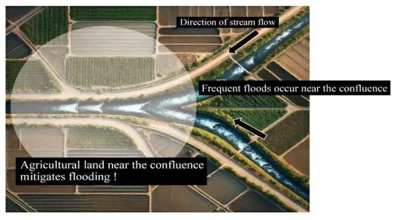 Agricultural Land Near Where Rivers Meet Can Mitigate Floods