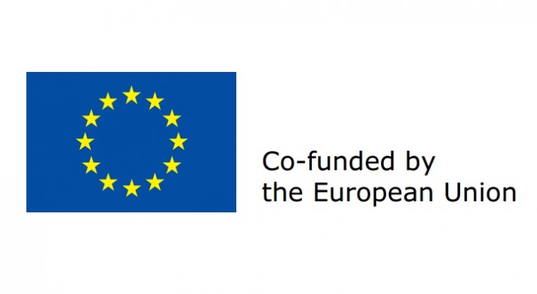 Secure Mobility: Uncovering Gaps In The Social Protection Of Posted Workers- Projects - European Centre For Social Welfare Policy And Research 421_x_768_jpg
