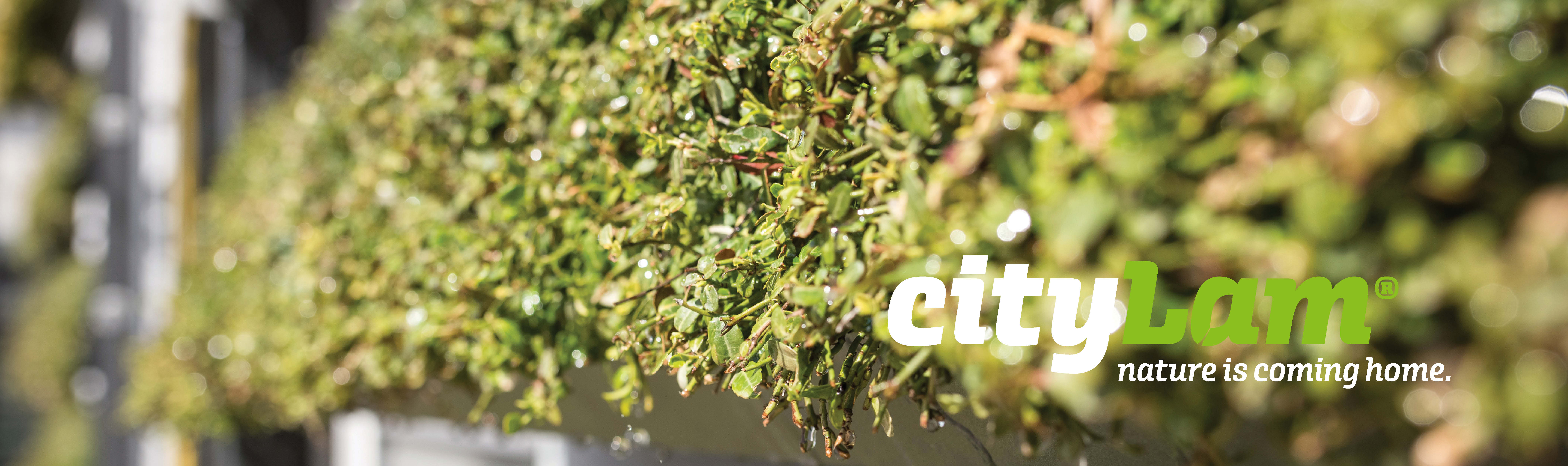 CityLam EuroLam Lamellenfenster