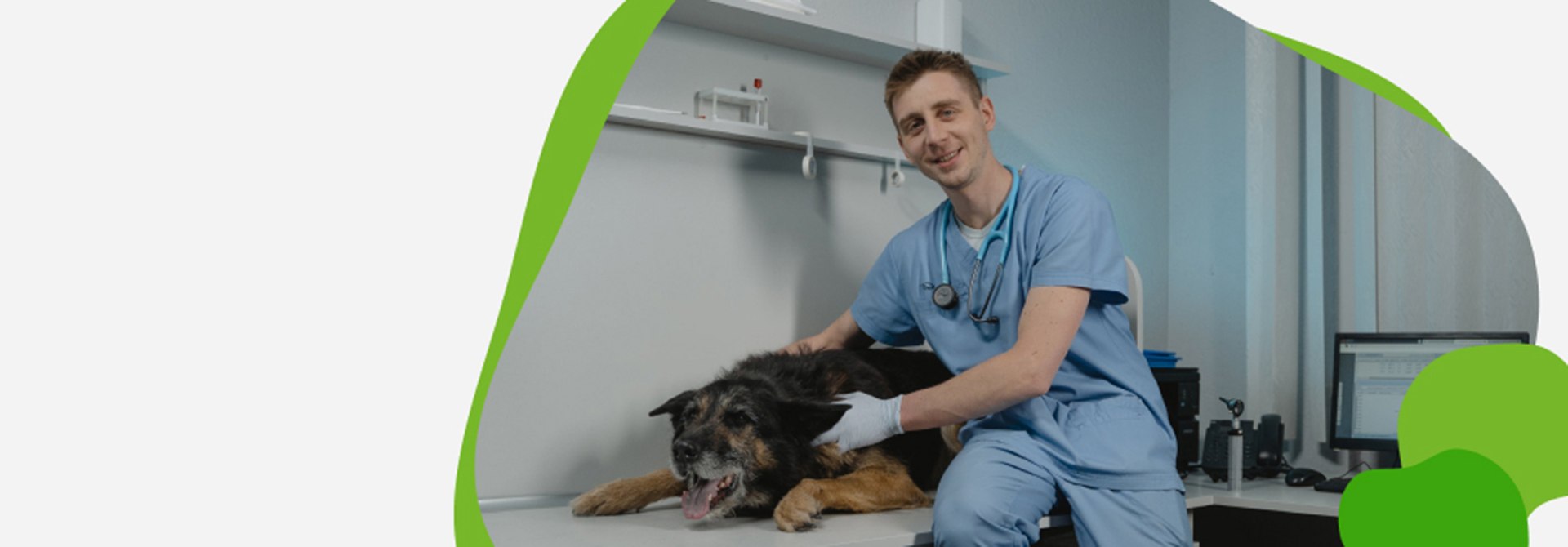 Vetbot Dubai Buy Veterinary Furniture Online UAE Eurovets