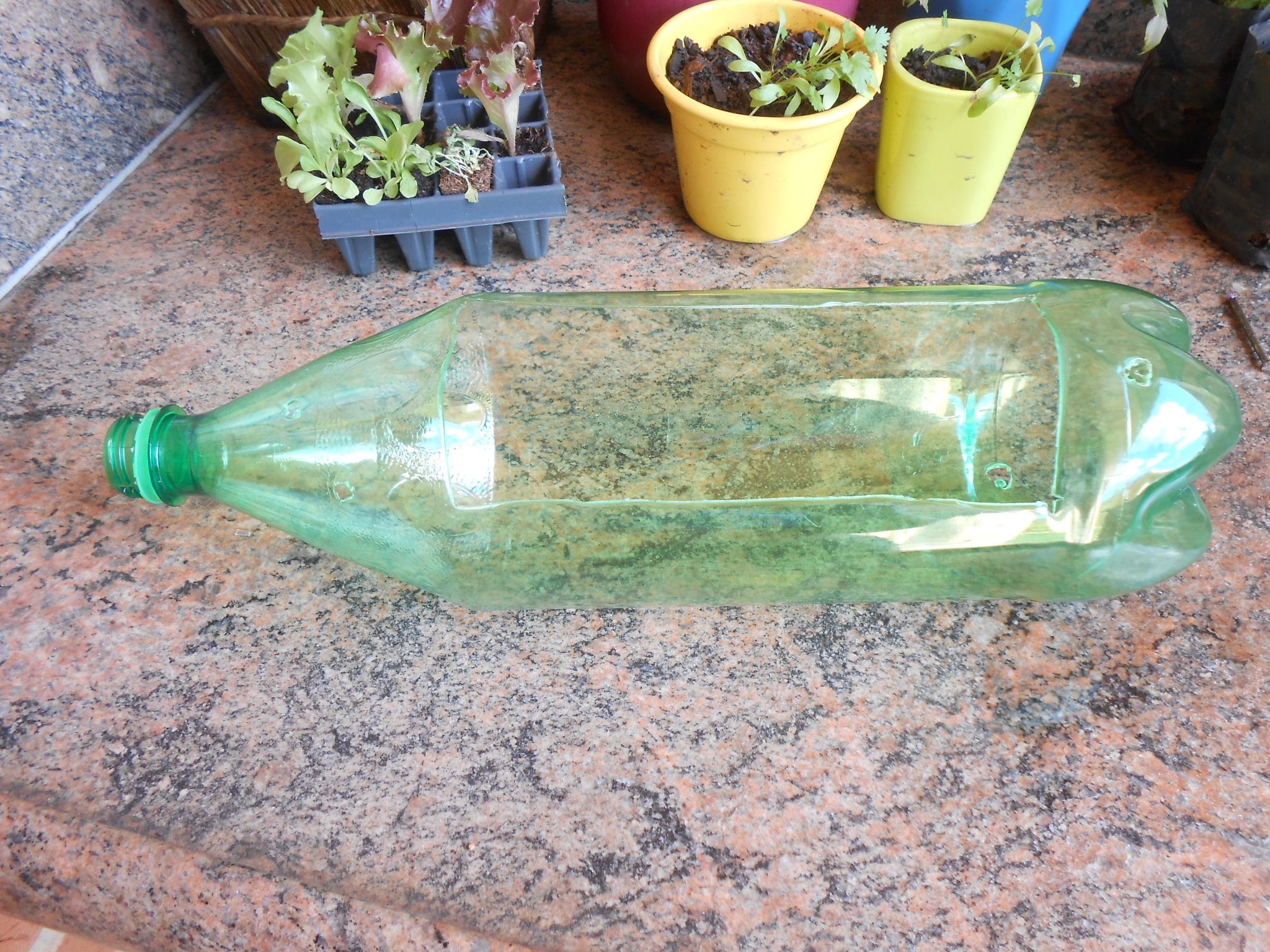 Como fazer uma horta vertical com garrafas PET Eu Sem