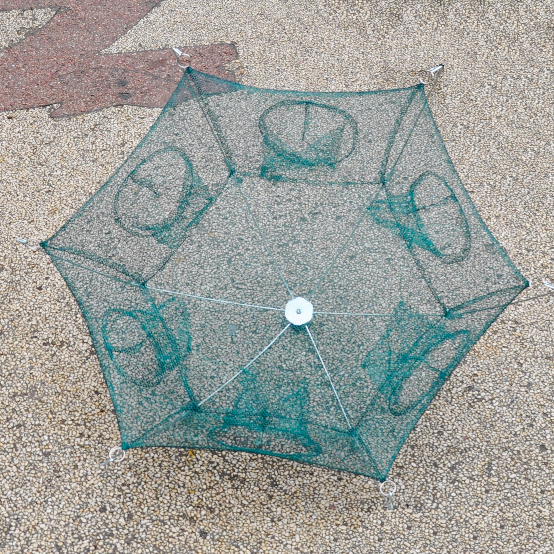 Folded Umbrella Fishing Net Catch Shrimp Crab Fish Shrimp Minnow Mesh Trap Dip eBay