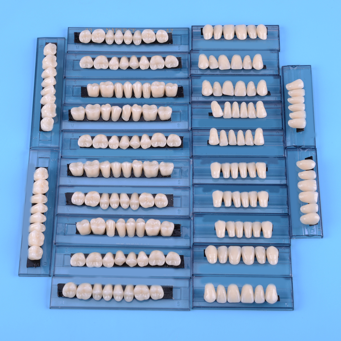 168pcs Denture Acrylic Resin Full Set Teeth Upper Lower Shade 23 A2 Dental New eBay