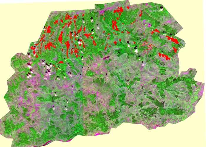 Habitat Preservation Using Satellite Imagery European Space Imaging