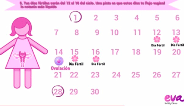 Search Results for “Metodo Del Ritmo” Calendar 2015