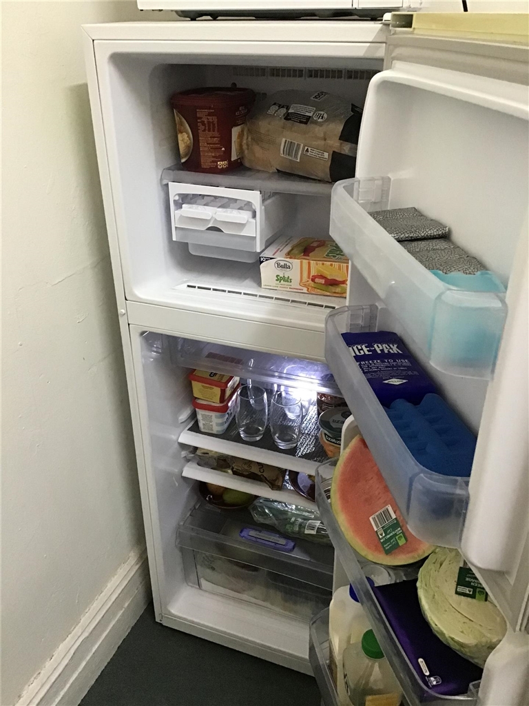 Samsung Fridge Frezzer