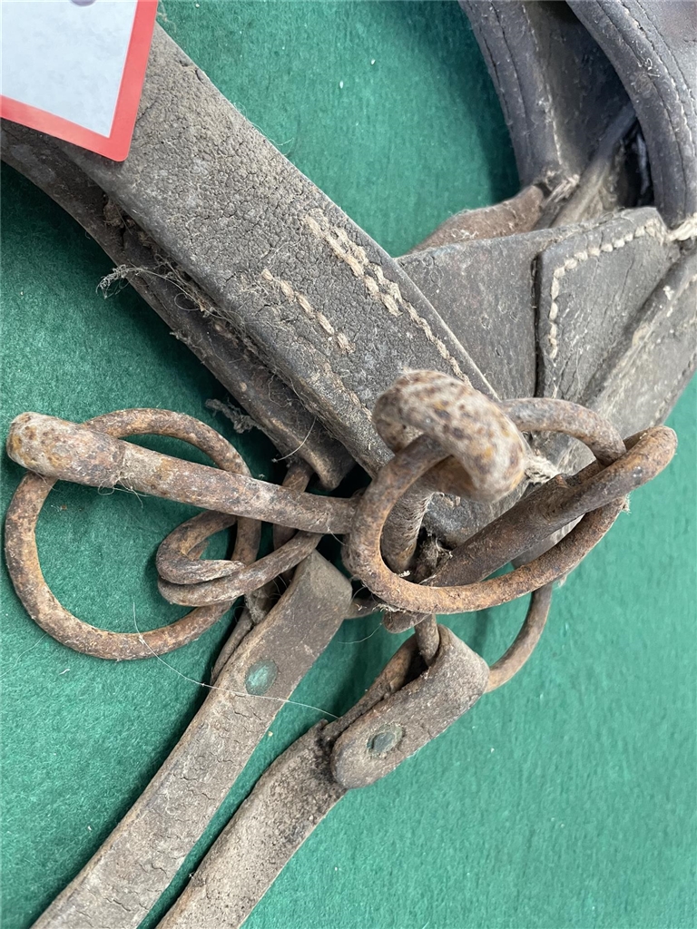 Horse Blinkers Bridle ( Collect Marleston )