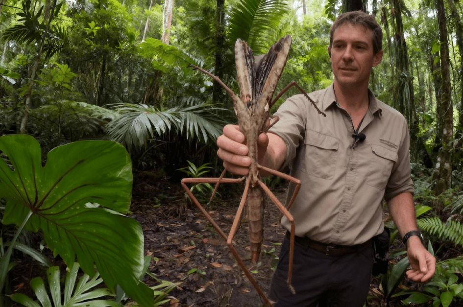 Evans Pest Control Philadelphia Expert Pest Management