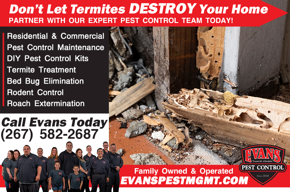 Avoid Termite Damage Evans Pest Control Philadelphia's Trusted