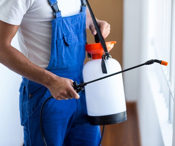 Pest Control El Paso Pest Control Services El Paso Father & Son