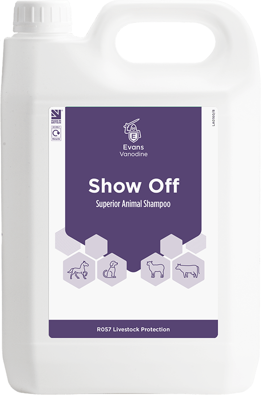 Tod Hauptstraße Säule evans shampoo rein Rede Kohl