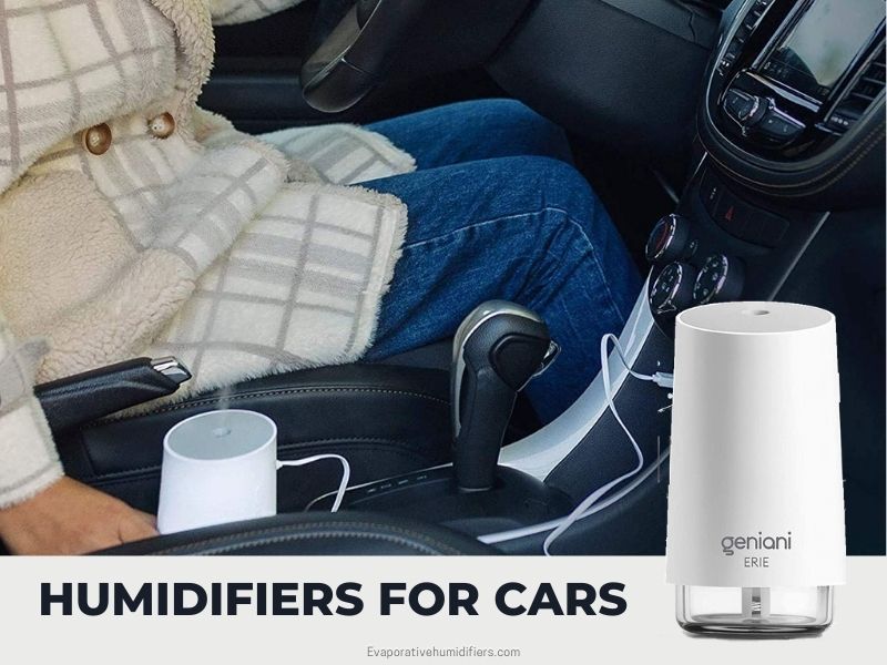 Are Humidifiers Good for Cars? Know Some Good Options You Can Buy