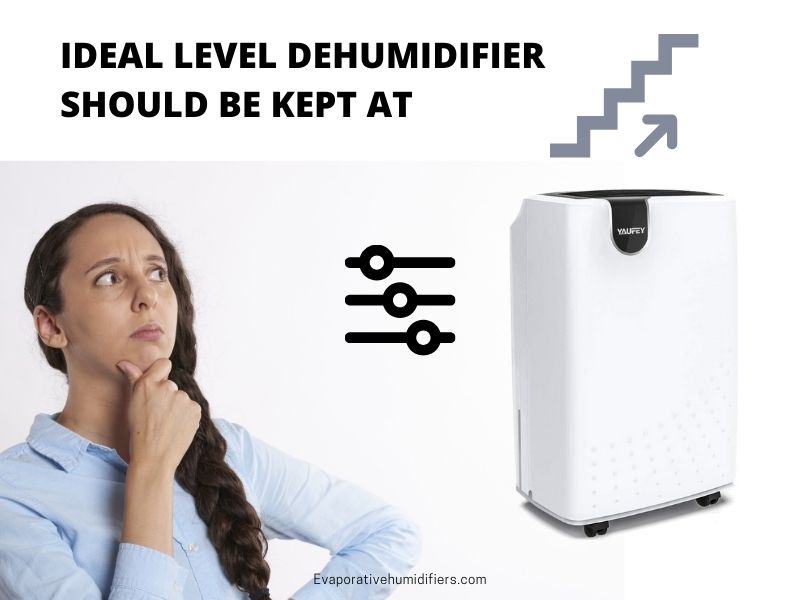 Demystifying What Humidity Should I Set My Dehumidifier To