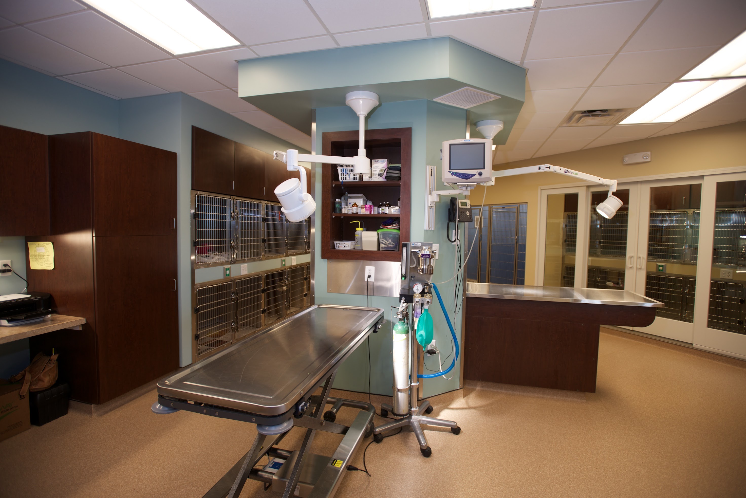 Eden Veterinary Clinic, PLLC