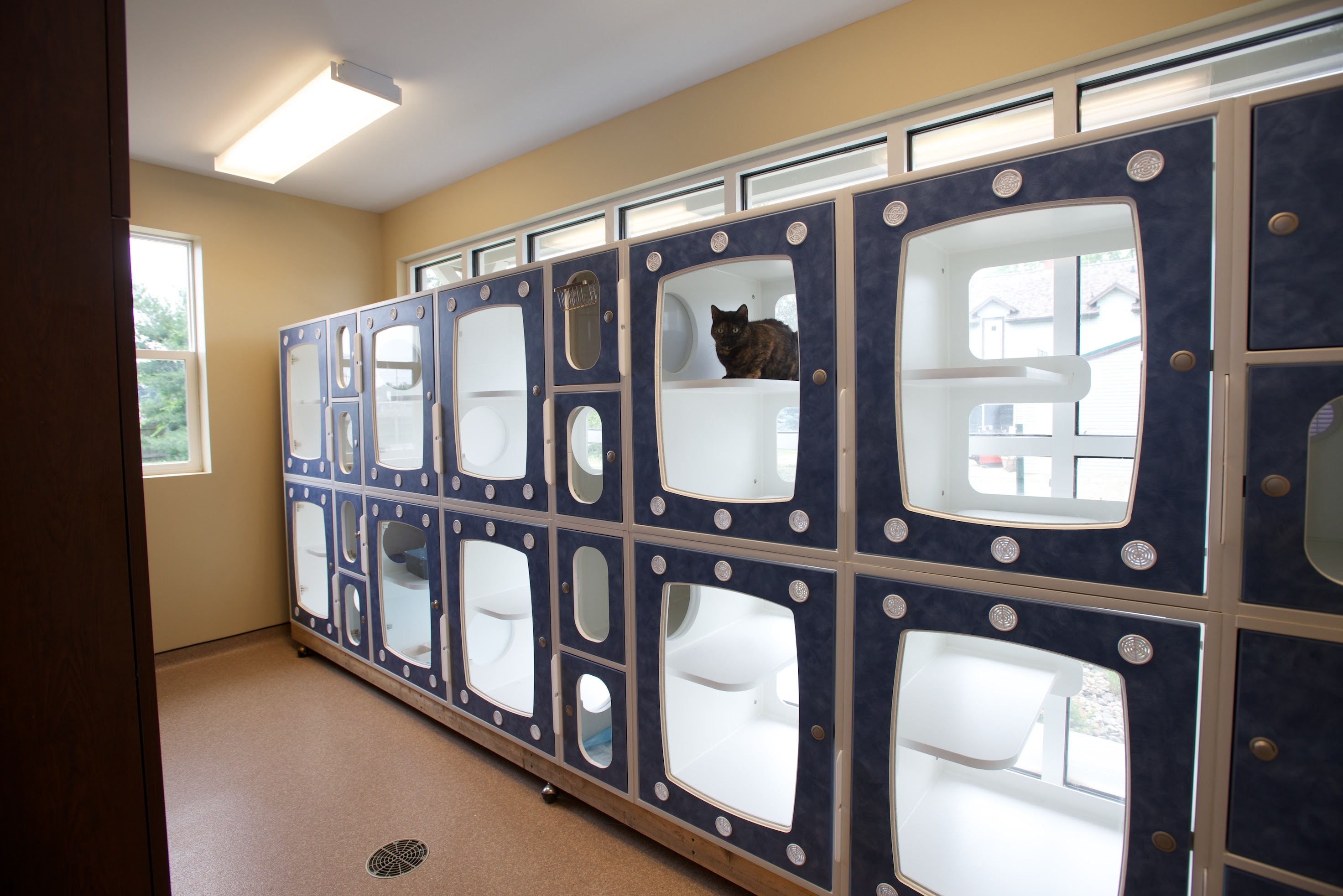 Eden Veterinary Clinic, PLLC