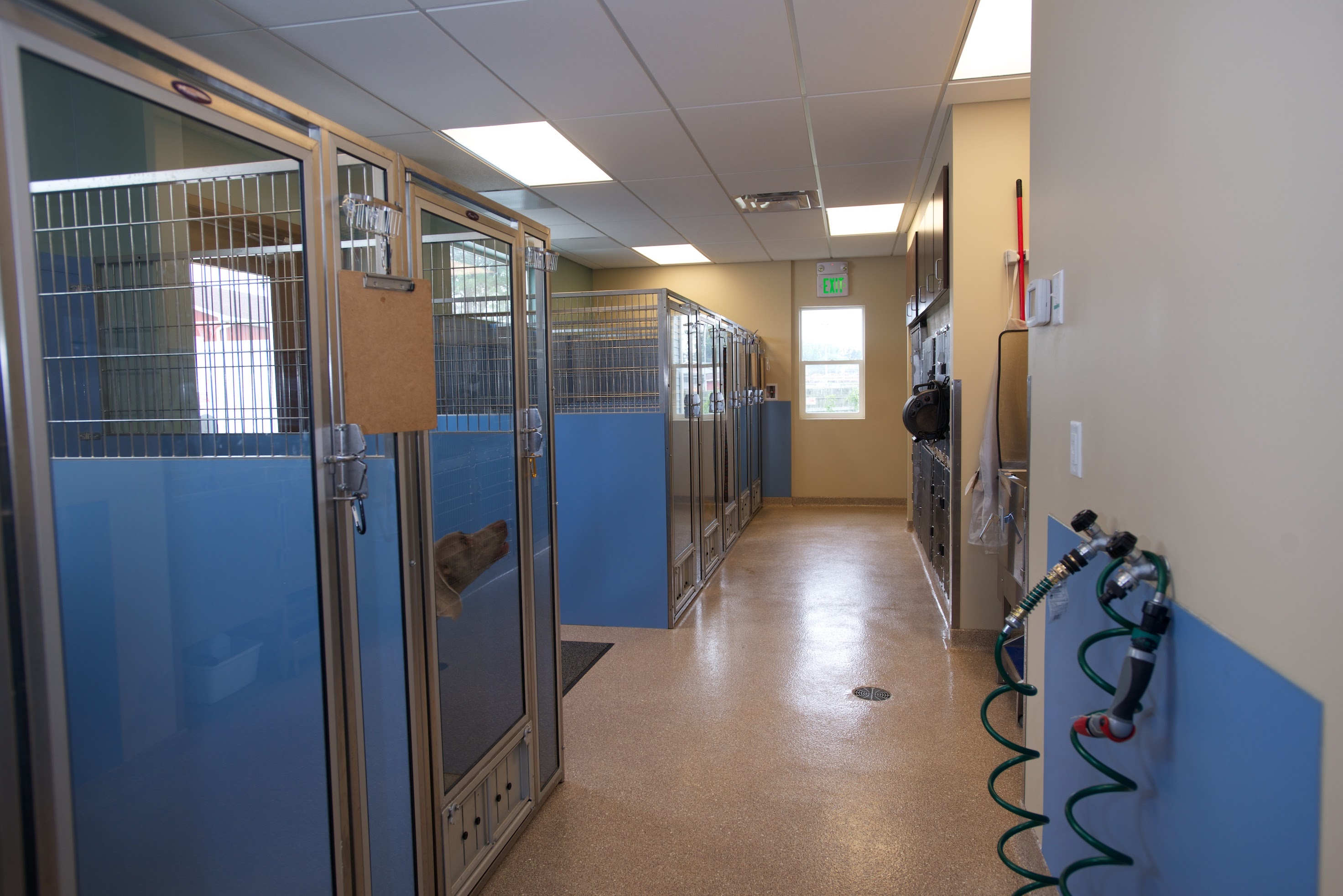 Eden Veterinary Clinic, PLLC