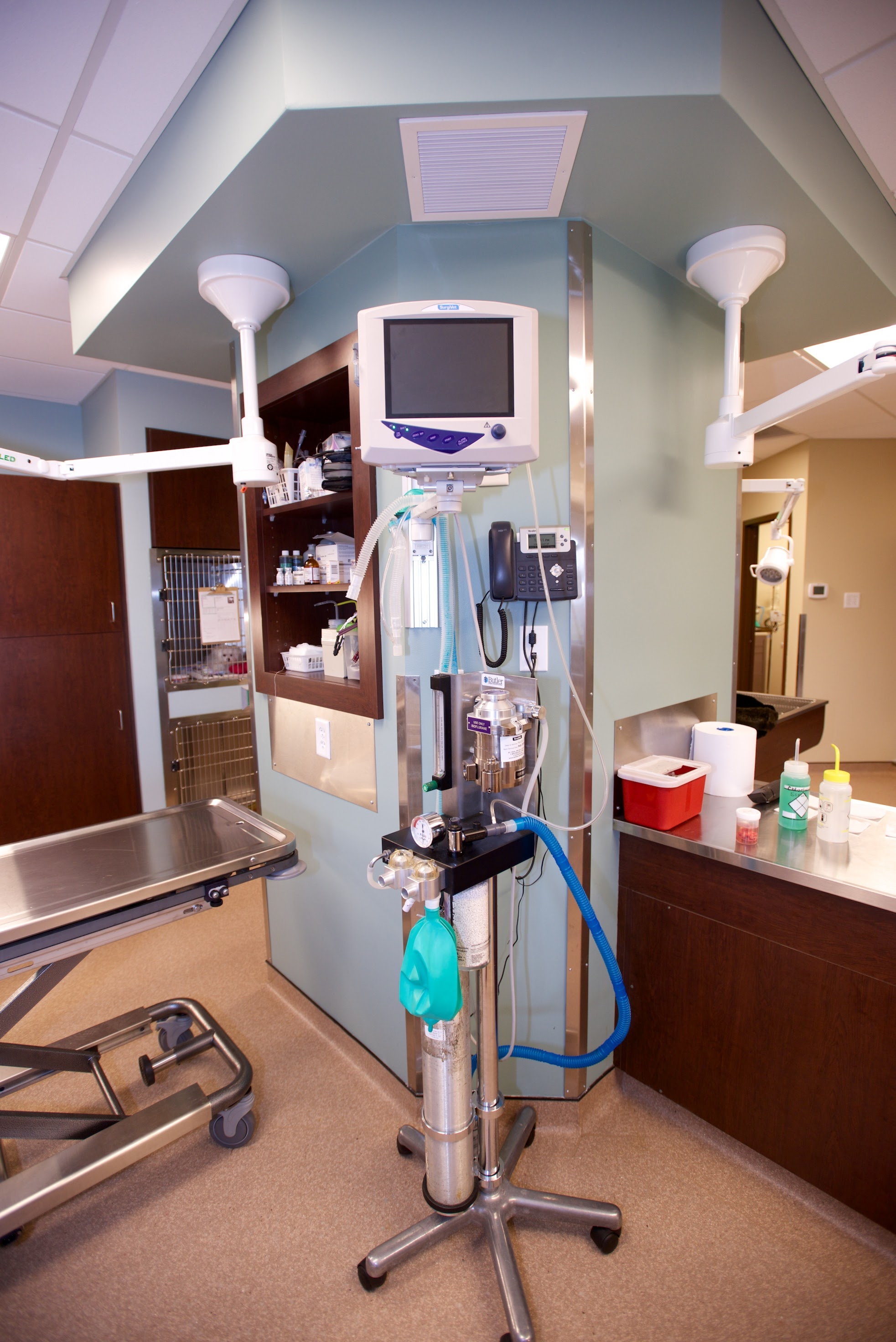 Eden Veterinary Clinic, PLLC