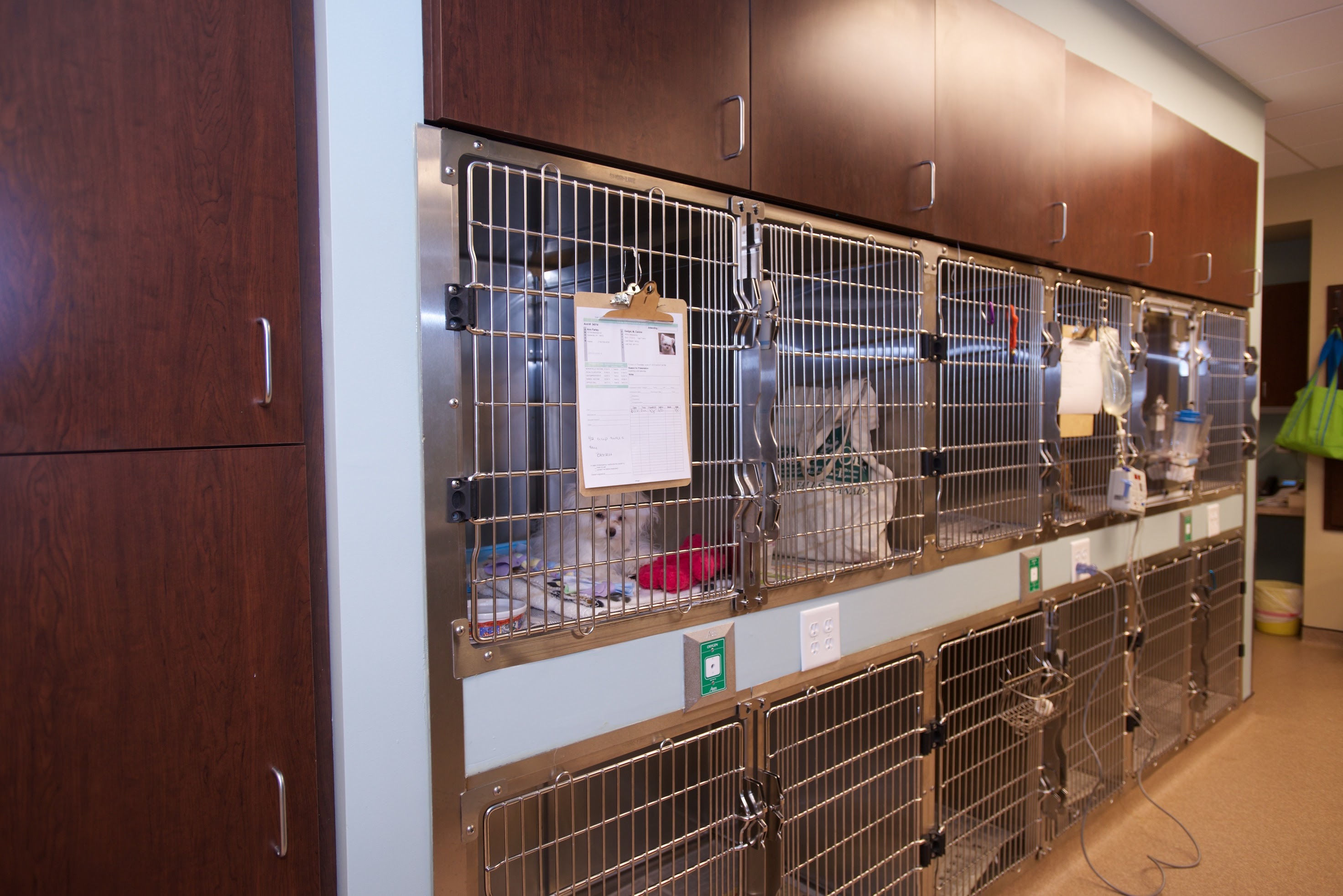 Eden Veterinary Clinic, PLLC